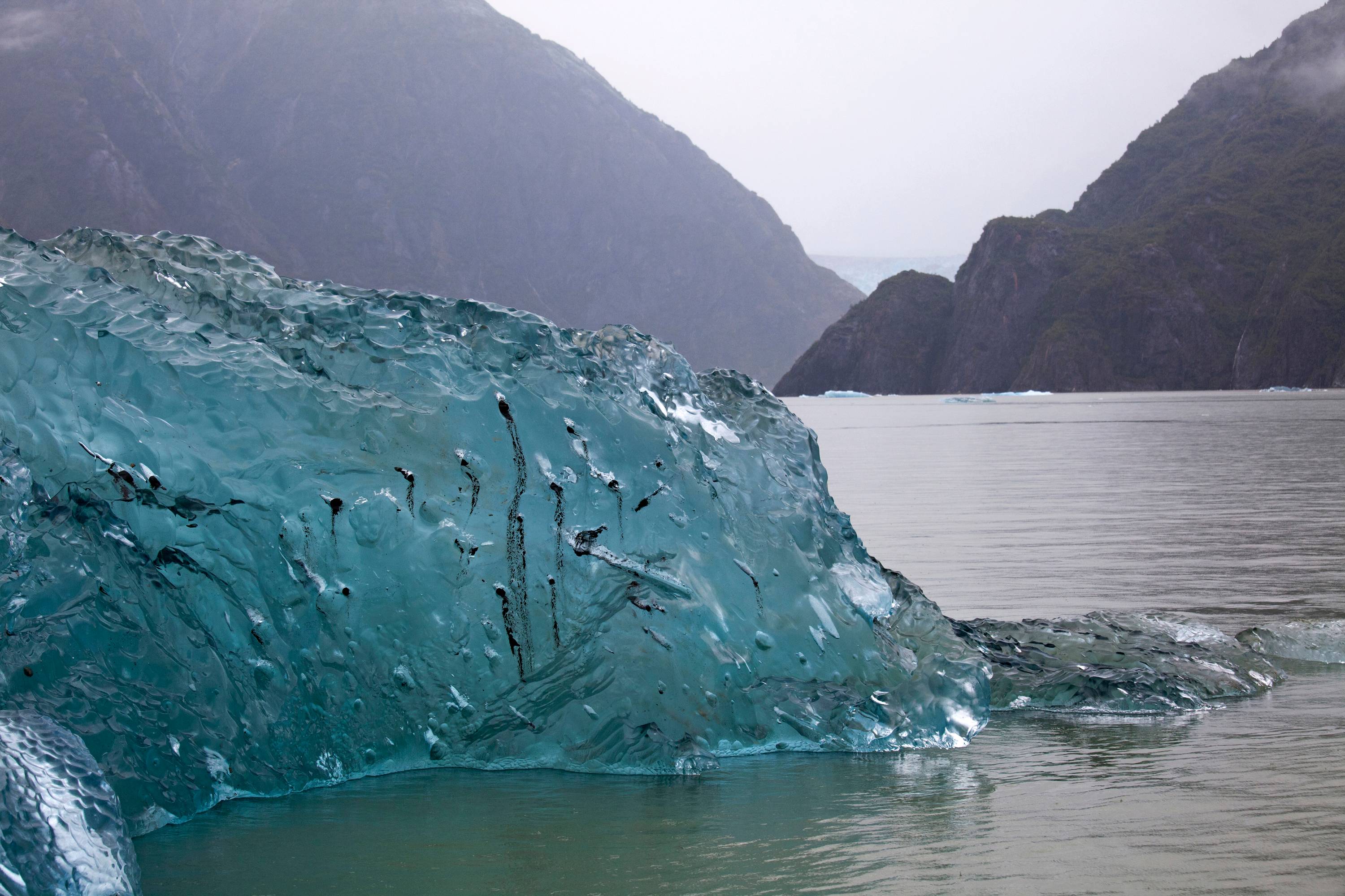 Glacial iceberg study, Alaska