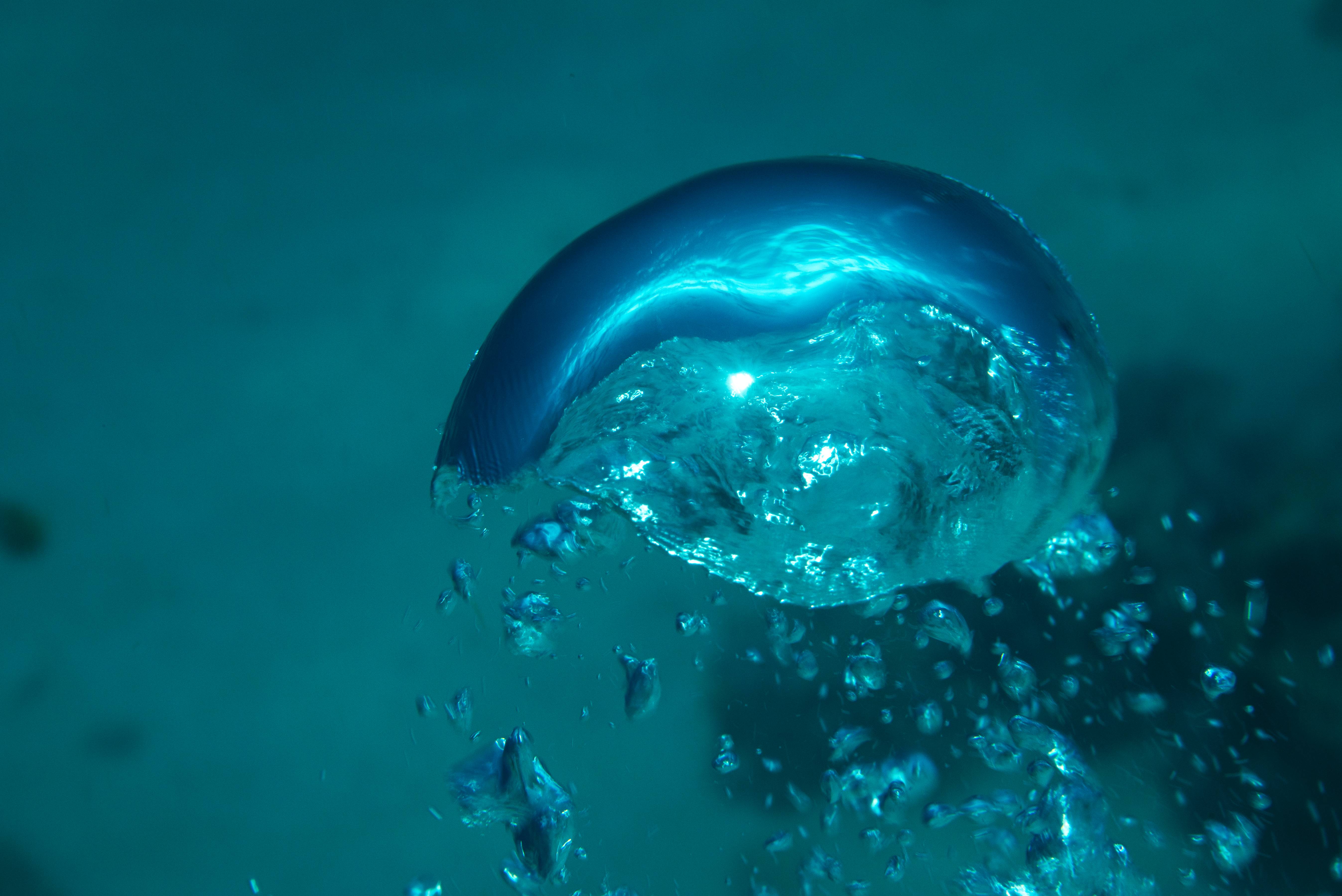 Rising Bubble, inverted world