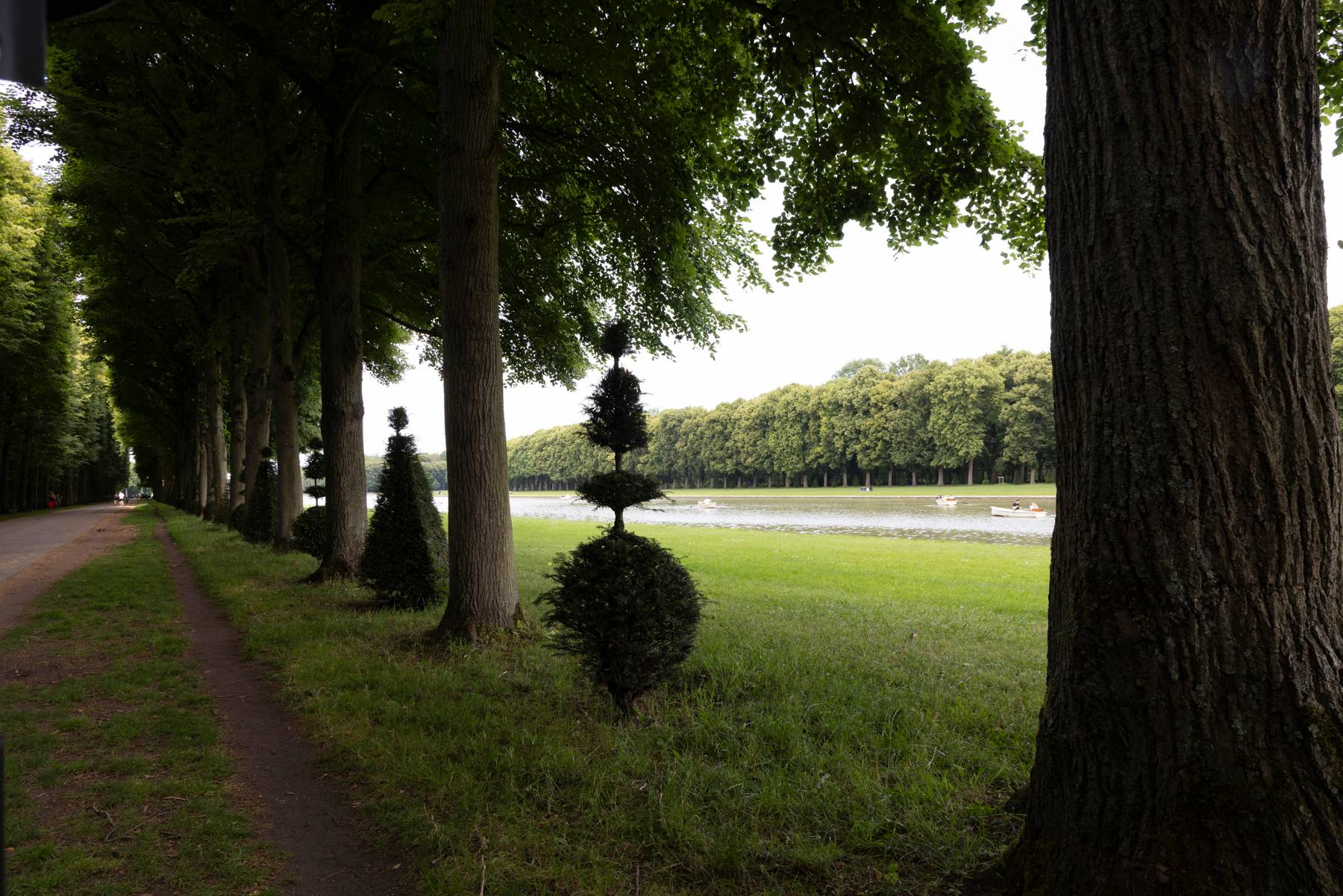 Pathway