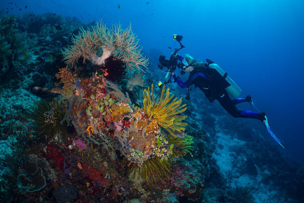 Image_SaraShoemakerLindPhotographingReef_ApoIsland_Phillipines2019.jpg