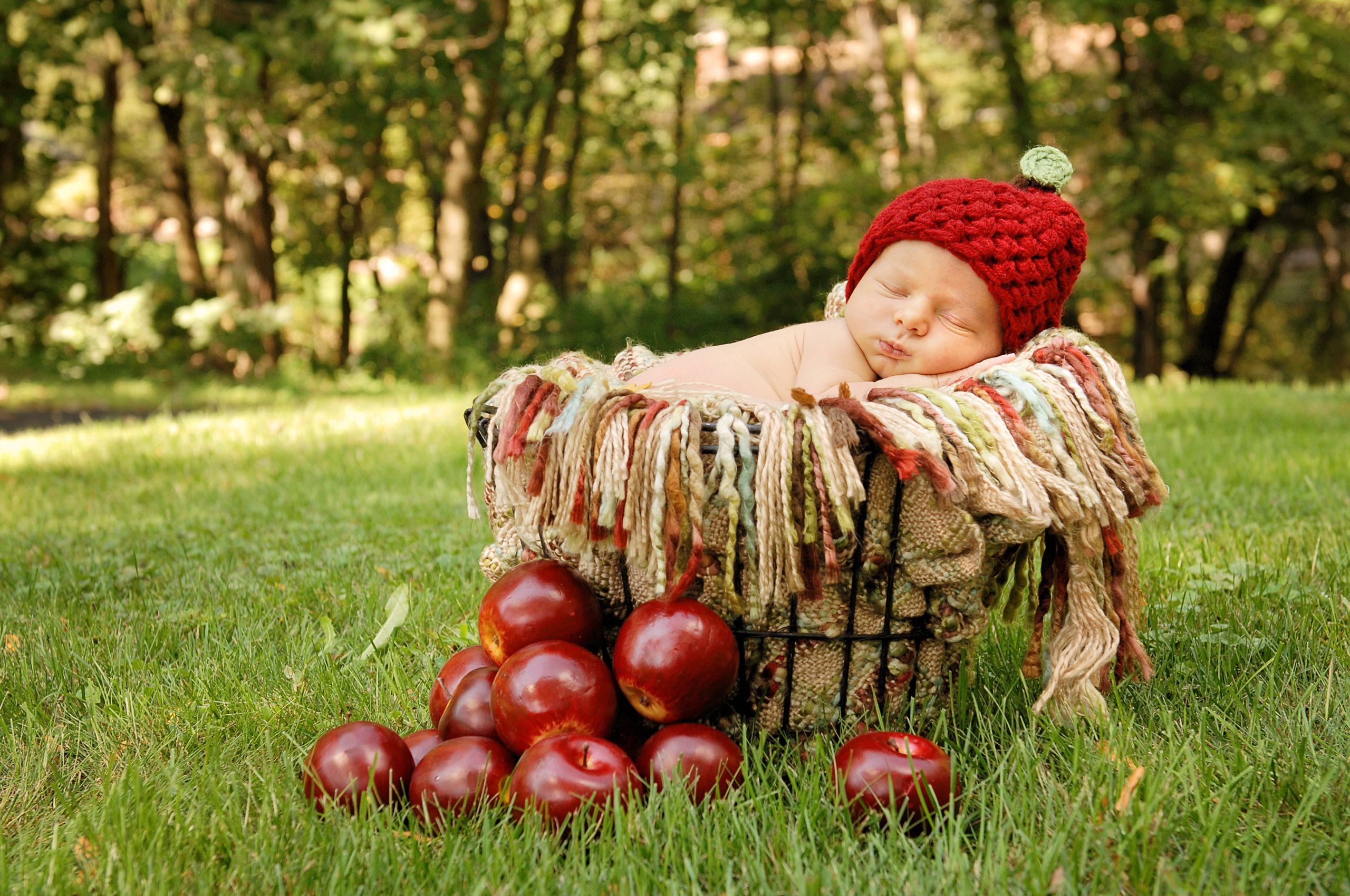 Fall Apple newborn