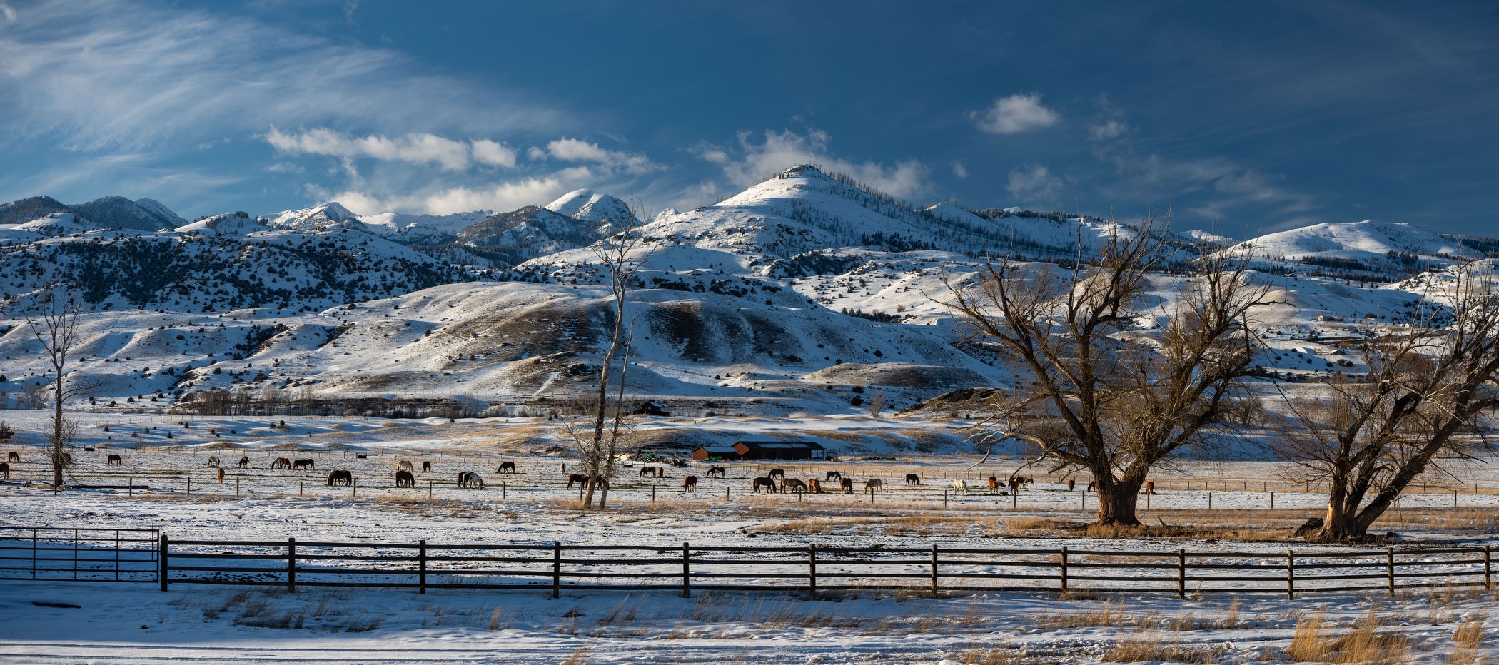 Winter landscape in the Rockies