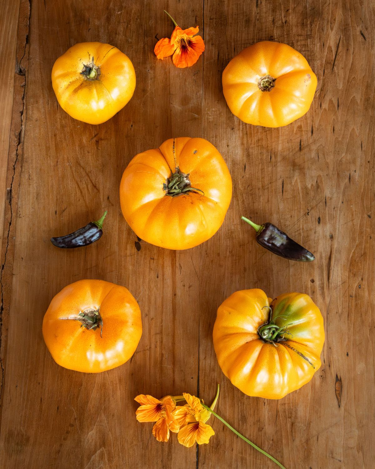 Goldies, Pippins,Nasturtium _015-Enhanced-NR.jpg