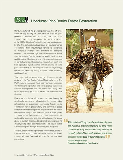 Man in Pico Bonito National Park, Honduras hauls firewood on donkey.Annual report, World Bank, Bio Carbon Fund. Rainforest man with donkey hauling firewood