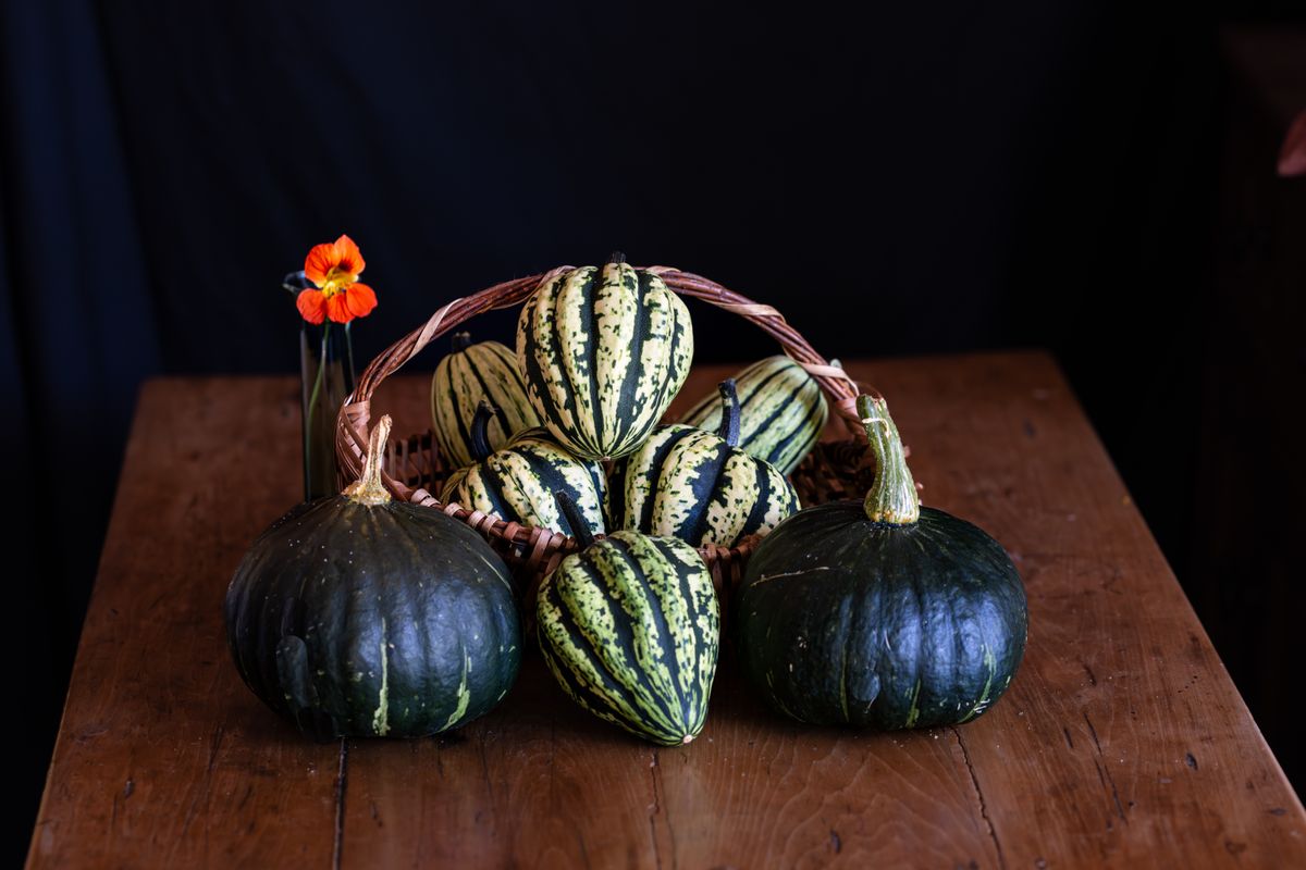 Garden Squash on Farm Table