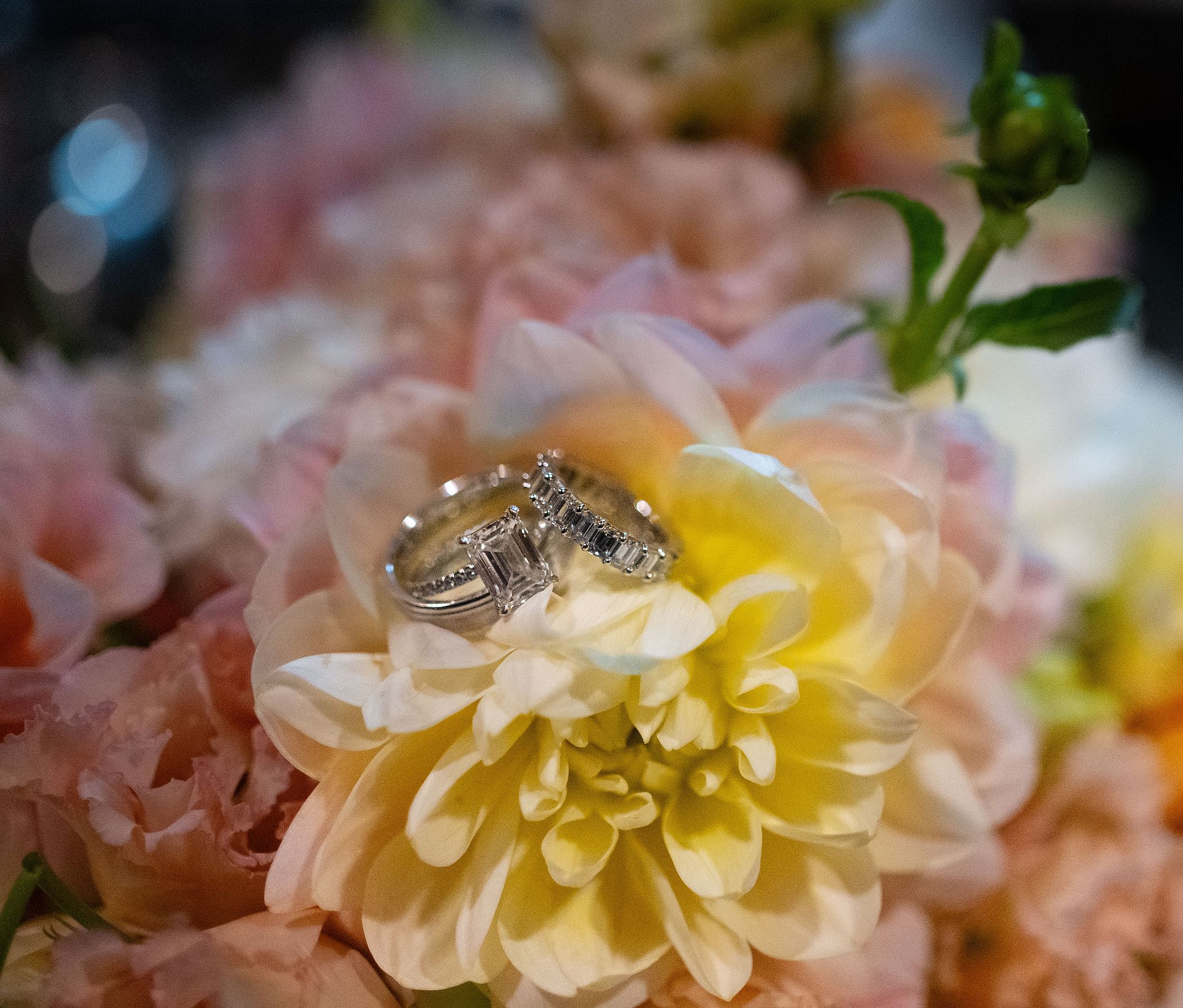 Rings And Flowers