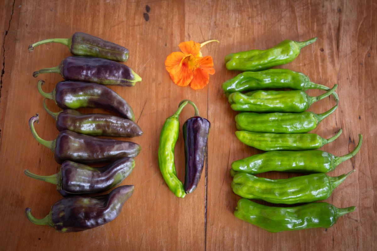 Garden To Table Peppers