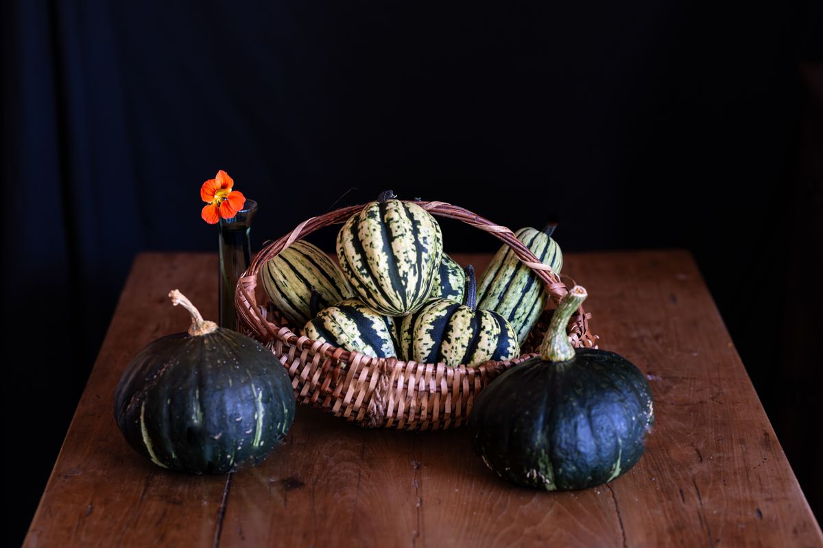 Garden Squash Harvested In September