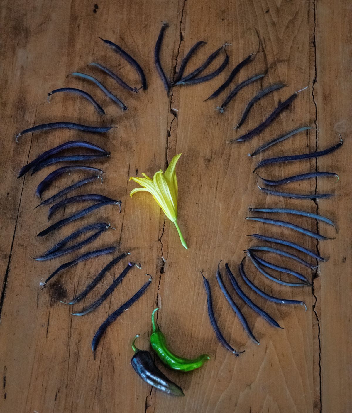 Garden To Table Beans, Peppers, Floweer