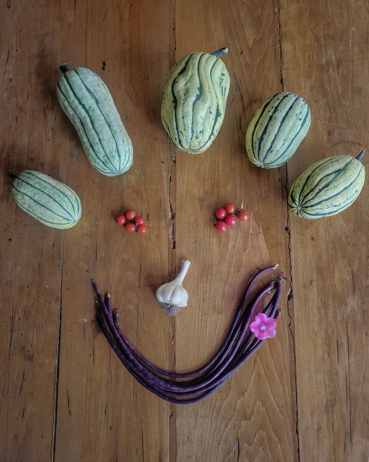 Delicata, Noodle Beans, Cherry Tomatoes, Garlic