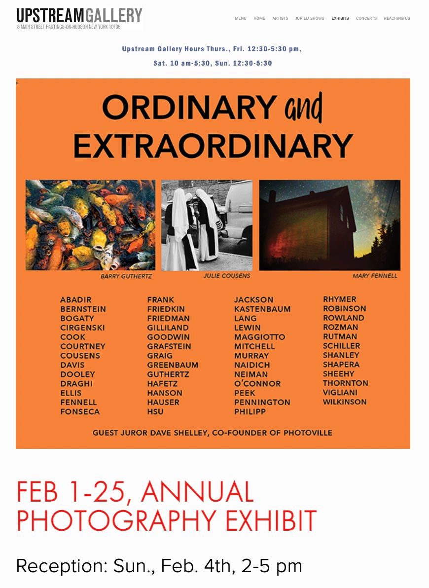 Ordinary and Extraordinary - Upstream Gallery '24