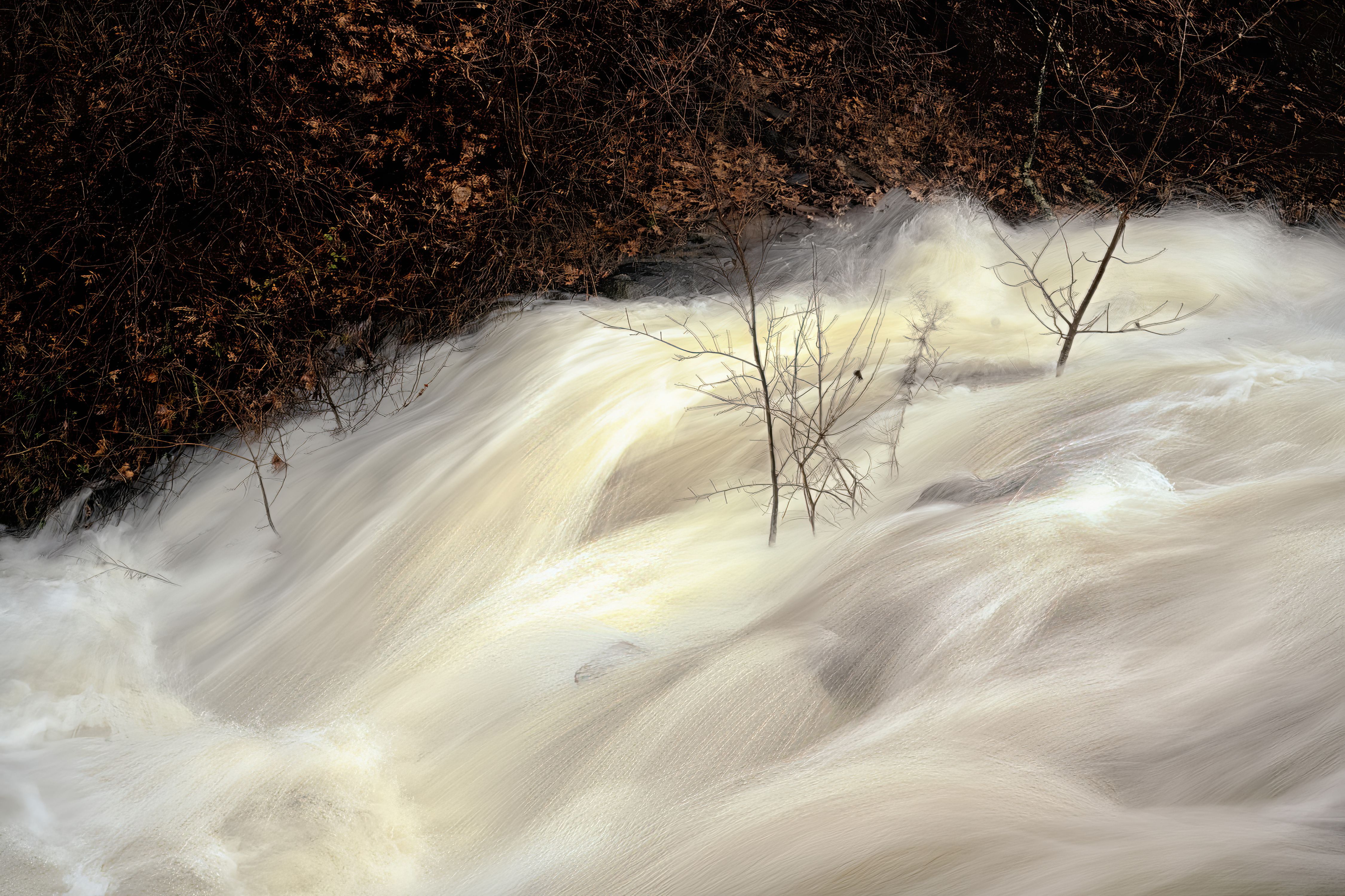 Raging Pocantico River After A Spring Downpour