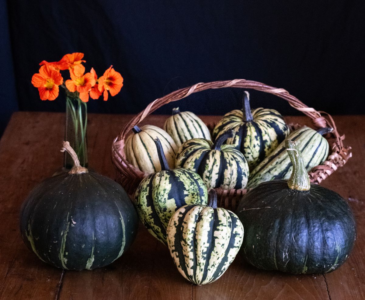 Garden Squash with Nausturtium