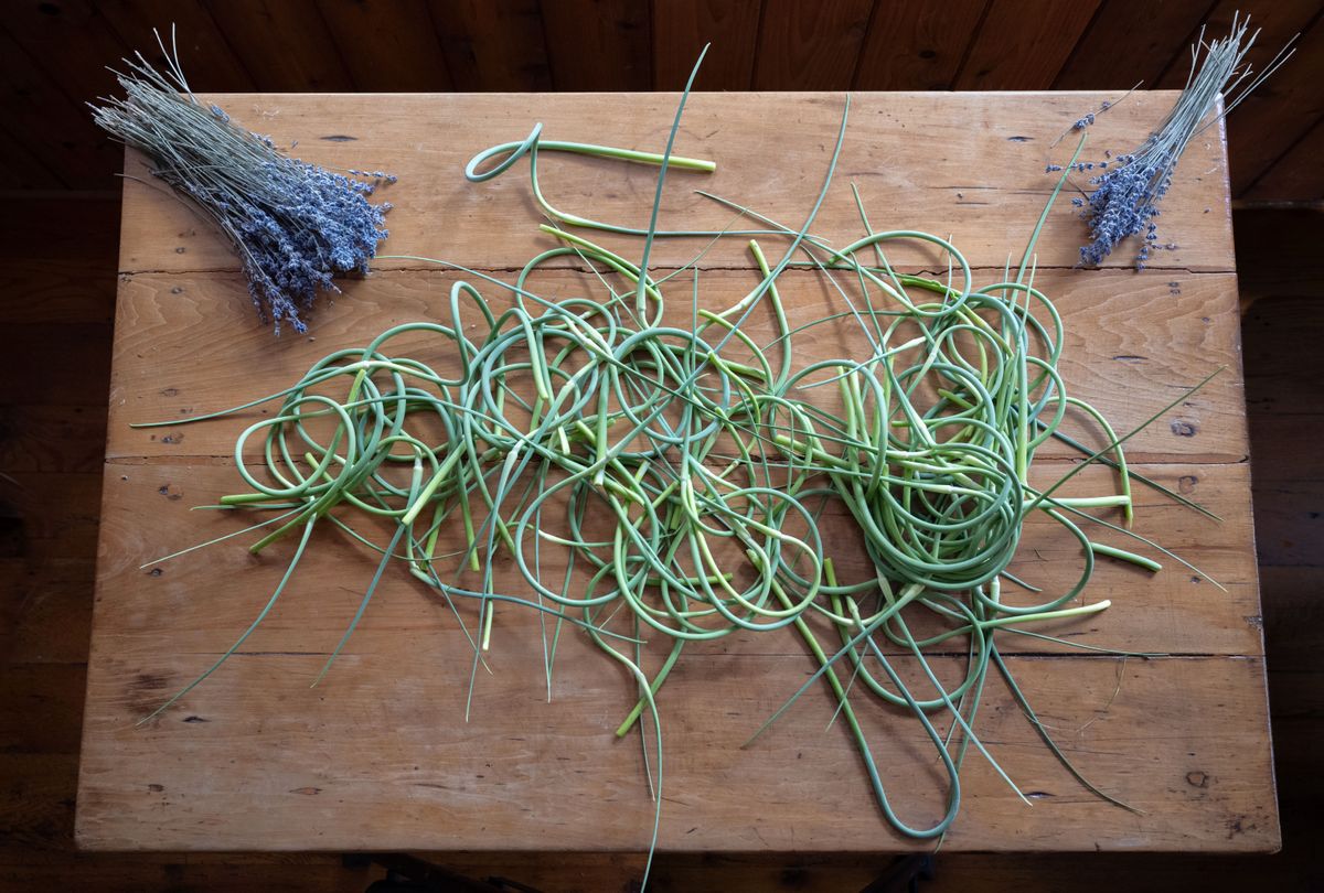 Garden To Table Garlic Scapes With Lavender