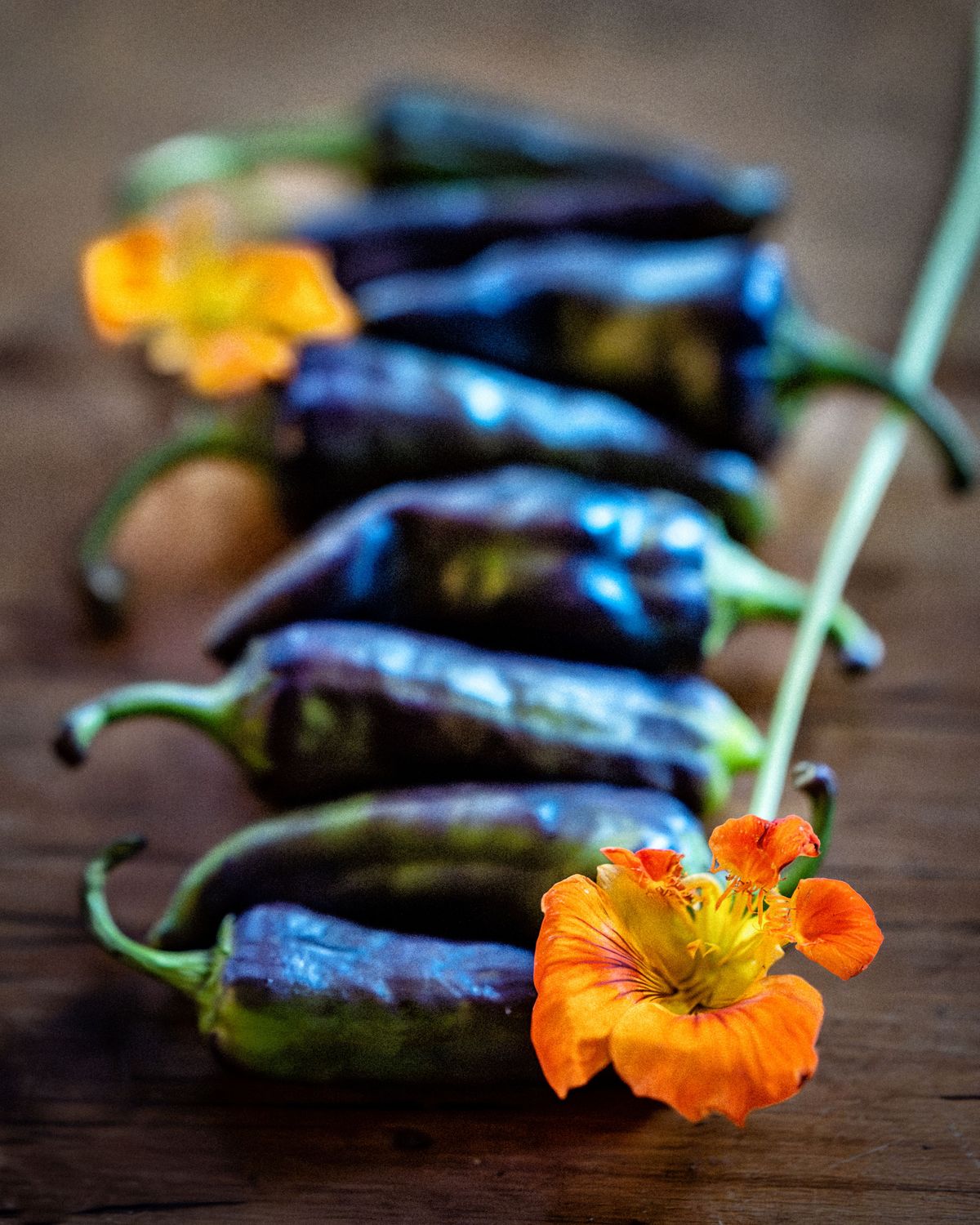 Garden Pepper Harvest