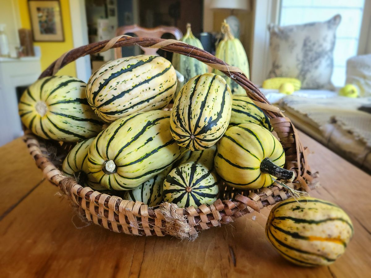 Garden To Table Delicata Squash
