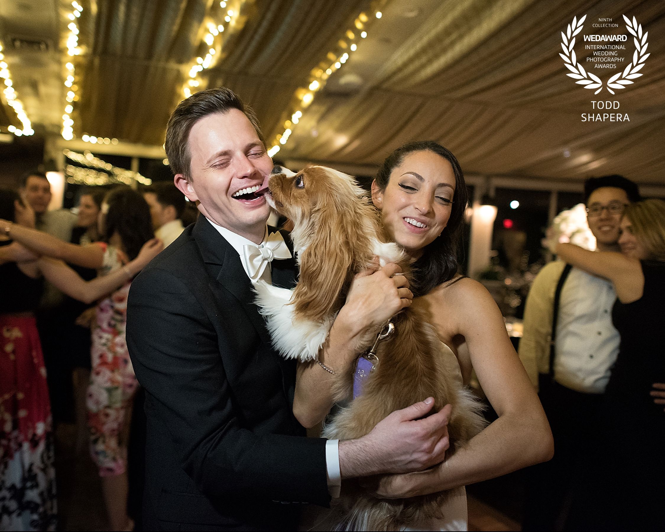 Dog Wedding Dance