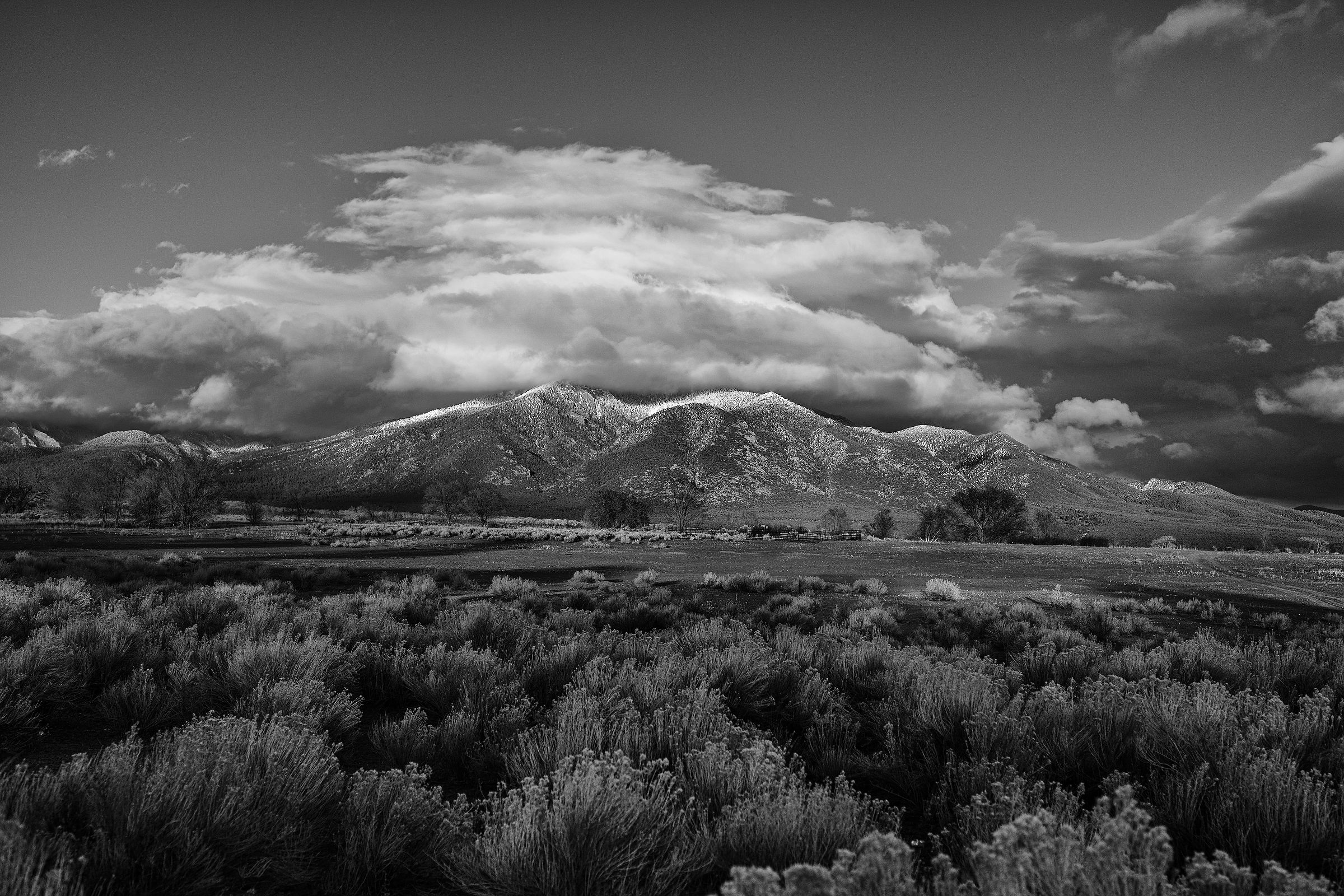 Winter Landscape #2, Taos, New Mexico