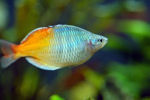 1dreamstimesmall_6988457