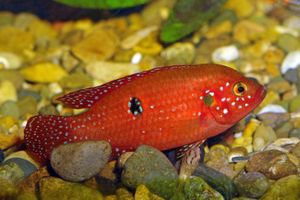 1dreamstimesmall_10150807