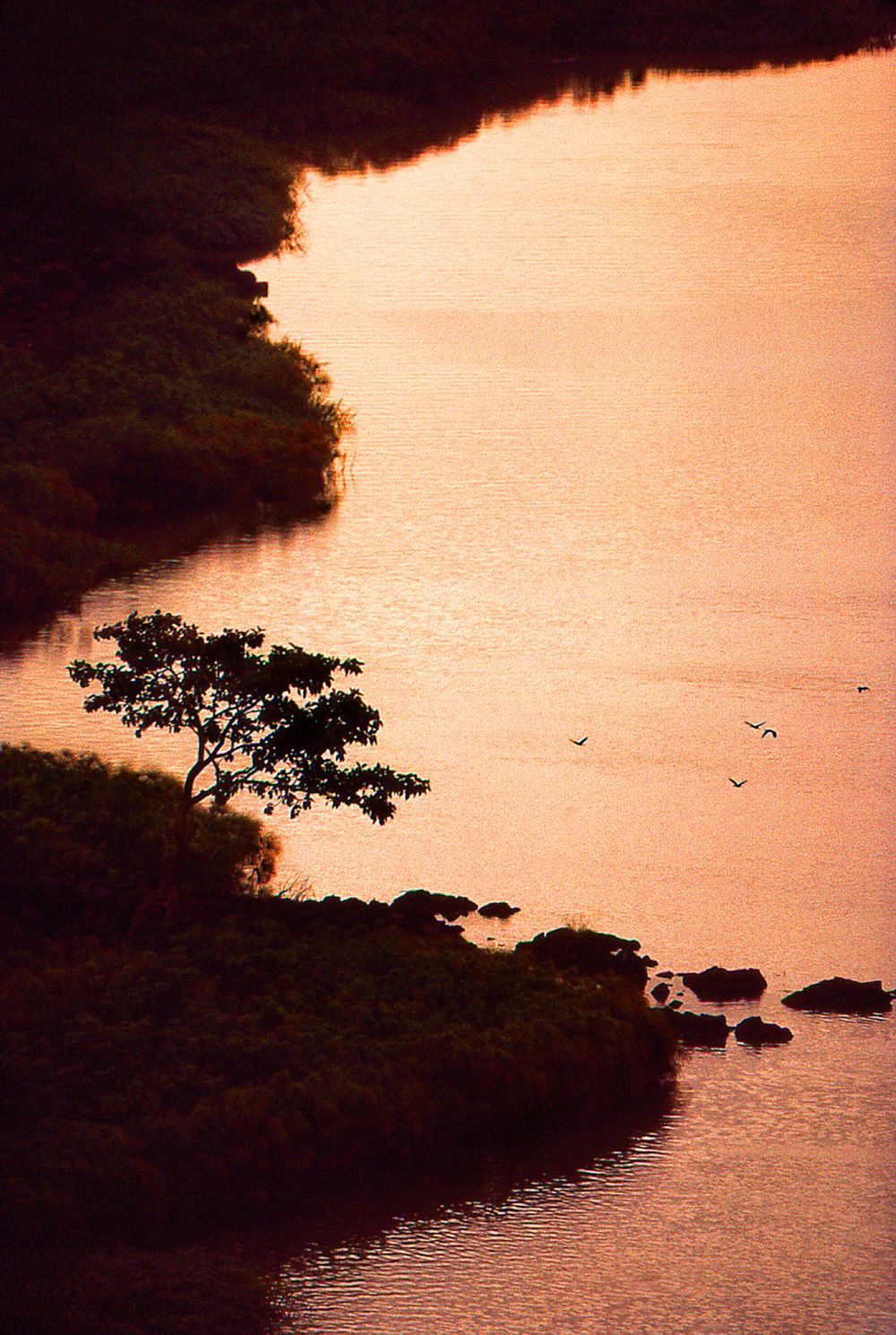 EB_img583_The Blue Nile_Rainy Season.jpg