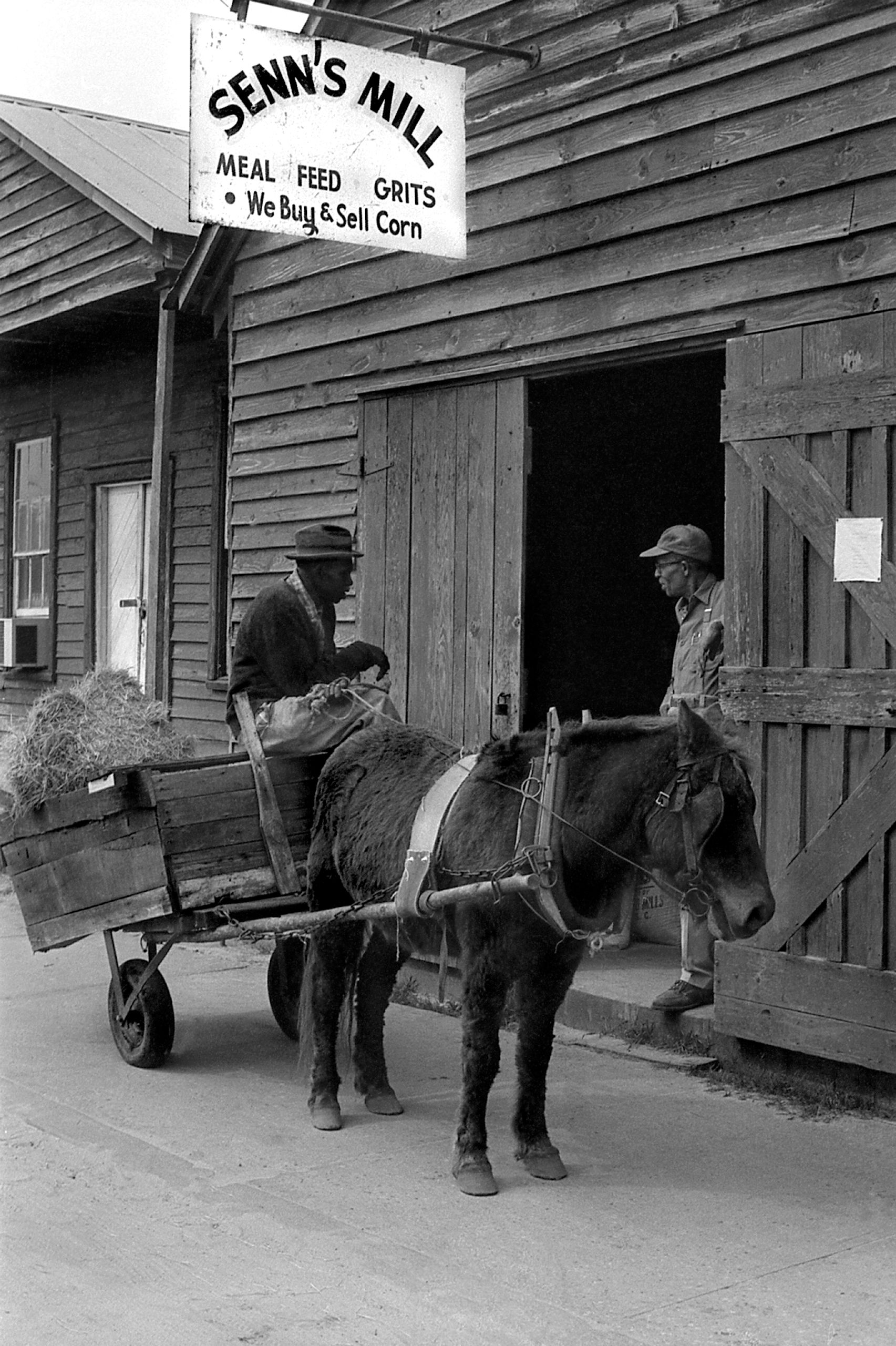img068_AC Riley and his ponycart visiting Hazel Richburg at Senn's Mill_W.jpg