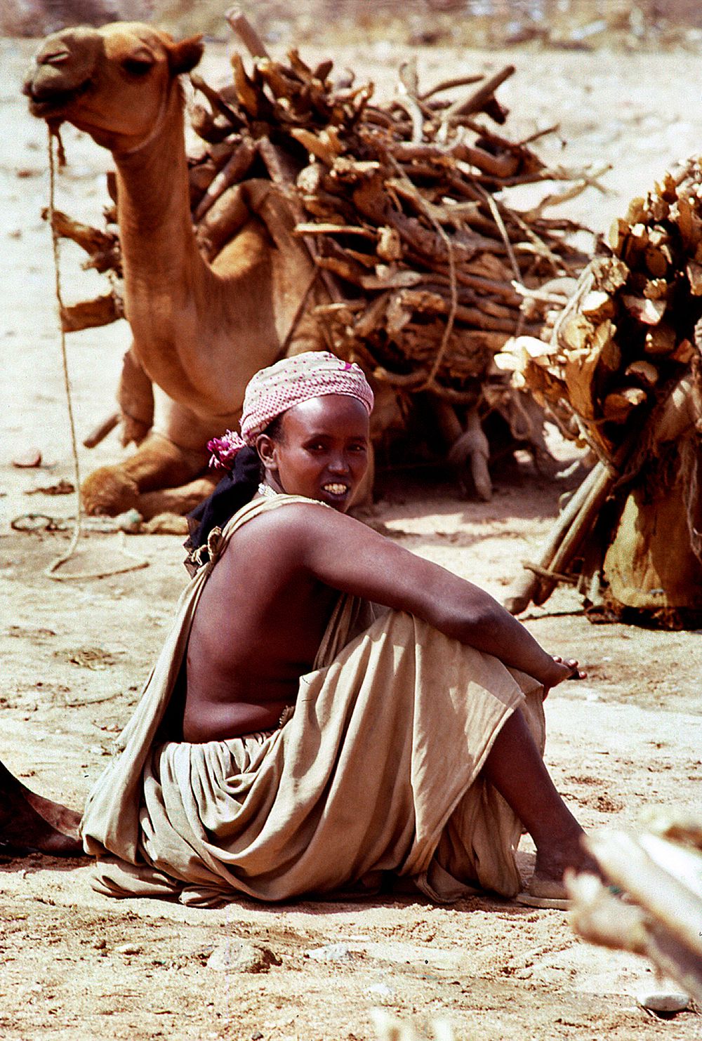 img558_Afar Nomadic female with her camels and wood.jpg