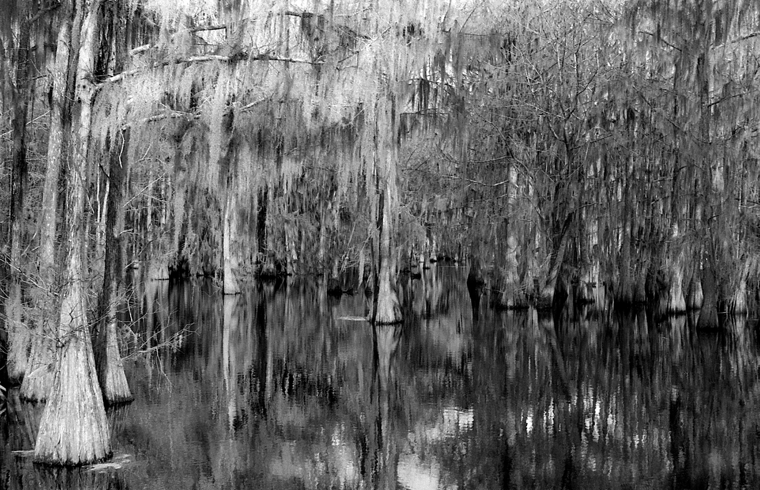 Elliott's Pond_W.jpg