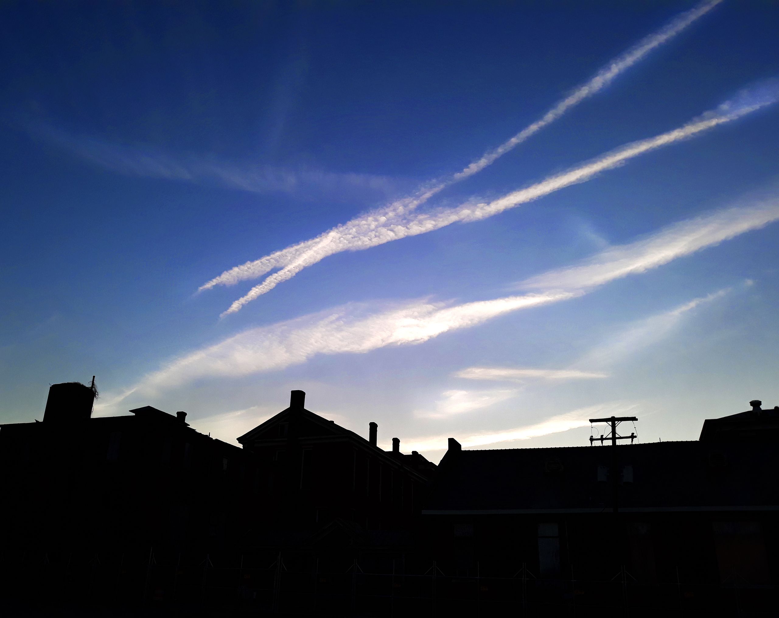 BullStreet Skyline_W.jpg