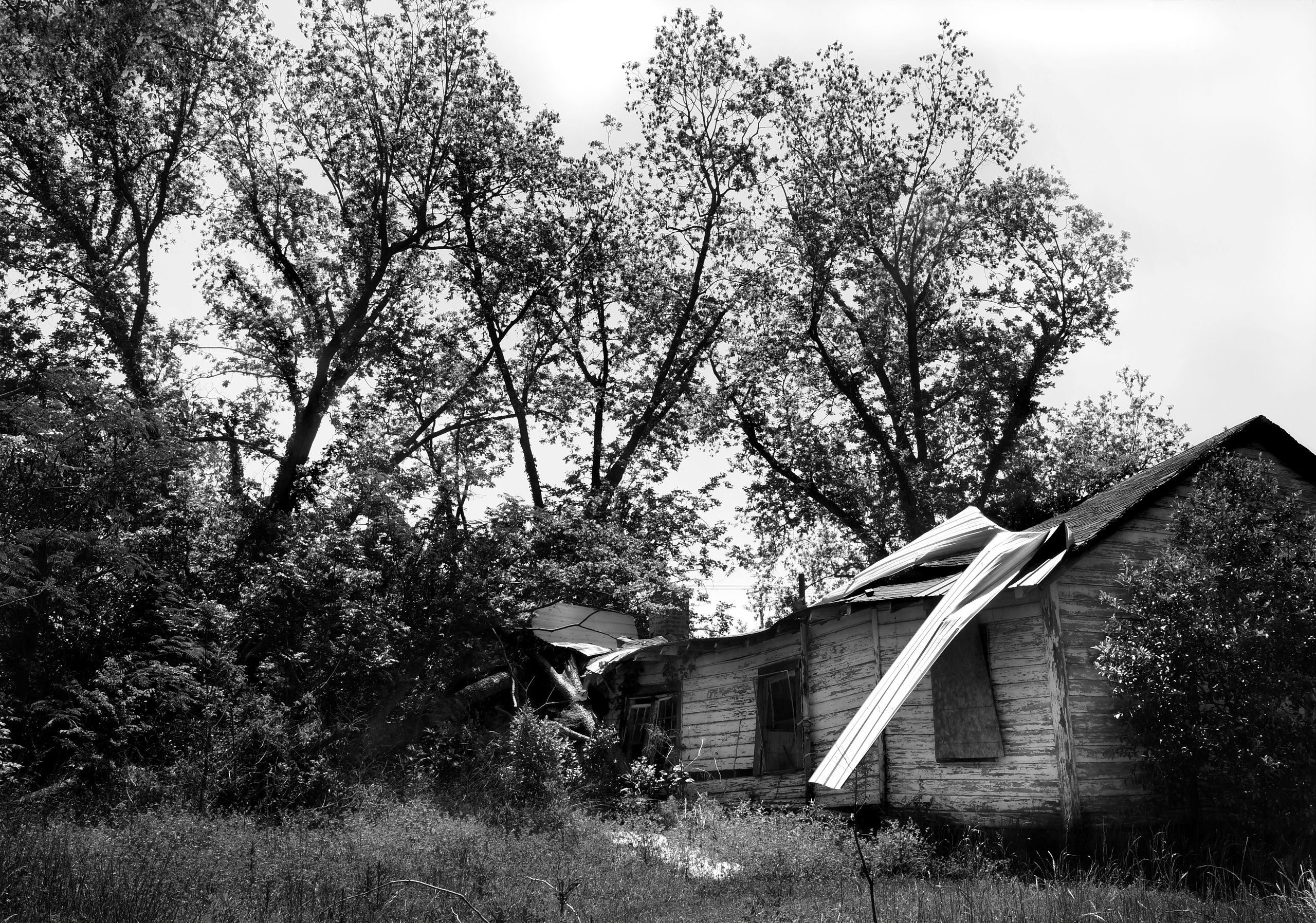 DSC_2695_McDonalds House_B&W_W.jpg