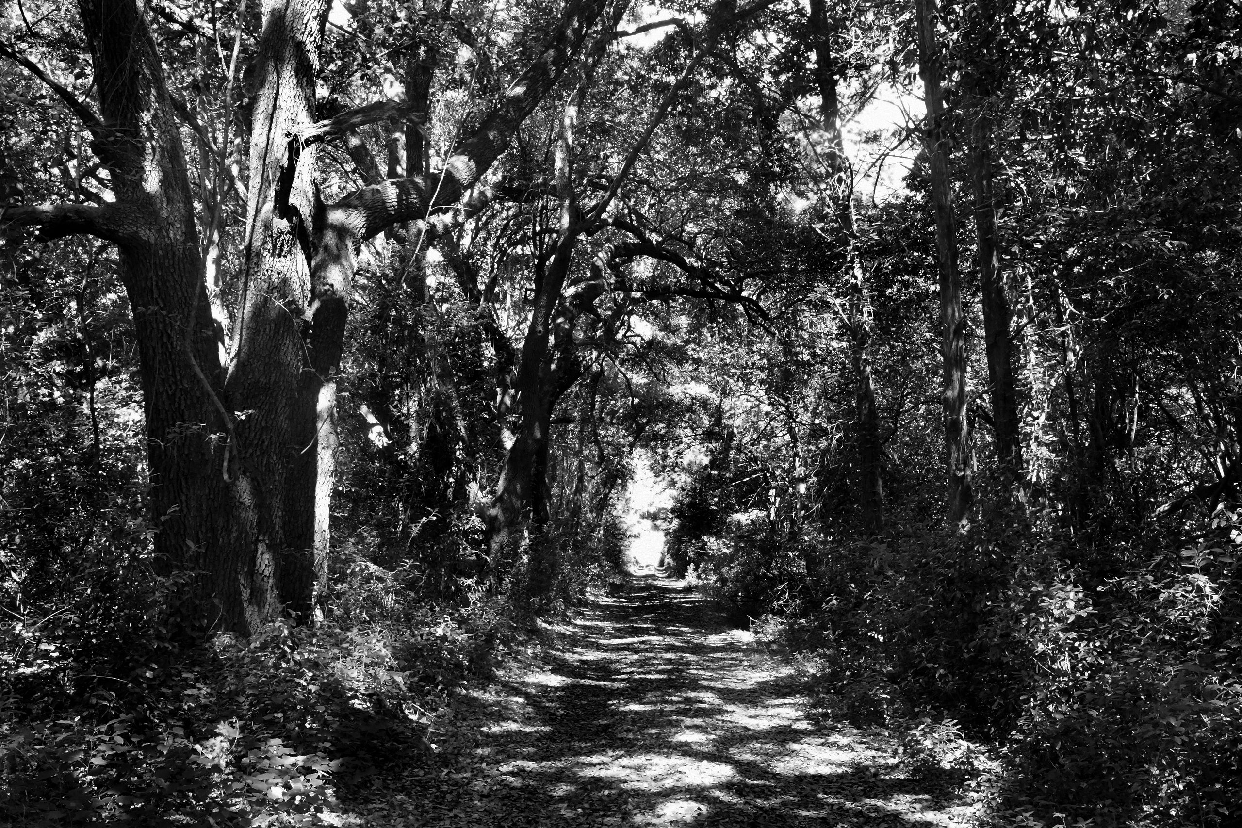 DSC_2689_Richardson Lane_BW_W.jpg
