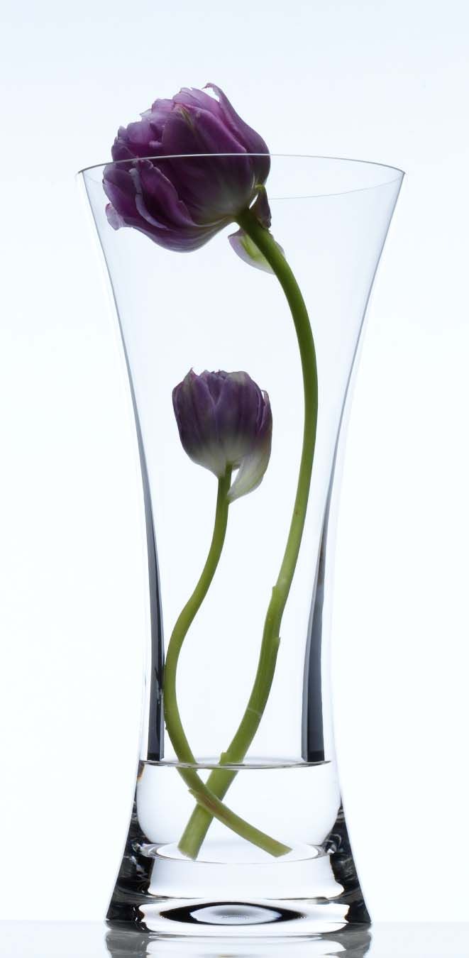 LB164FlowerVase5210B.jpg