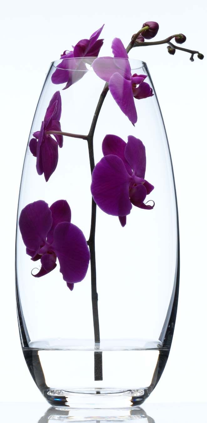 LB164FlowerVase5690.jpg