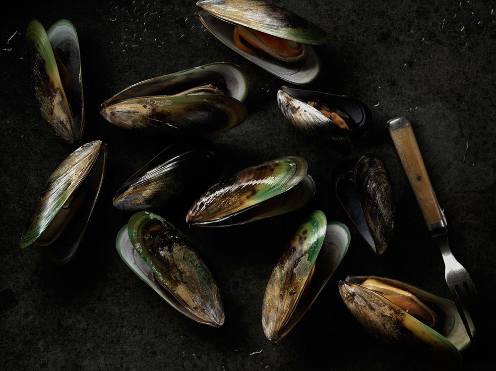 Mussels.jpg