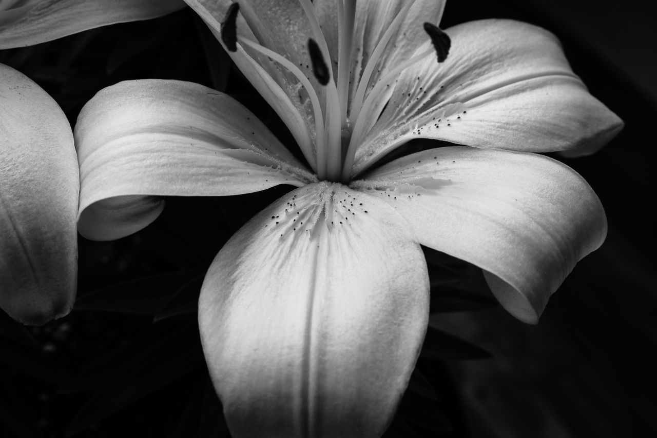 1404_untitled_NBr-195.jpg
