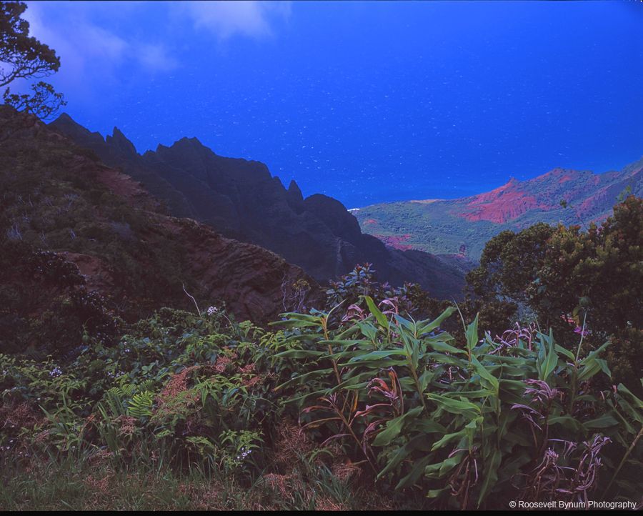Kalalau Lookout