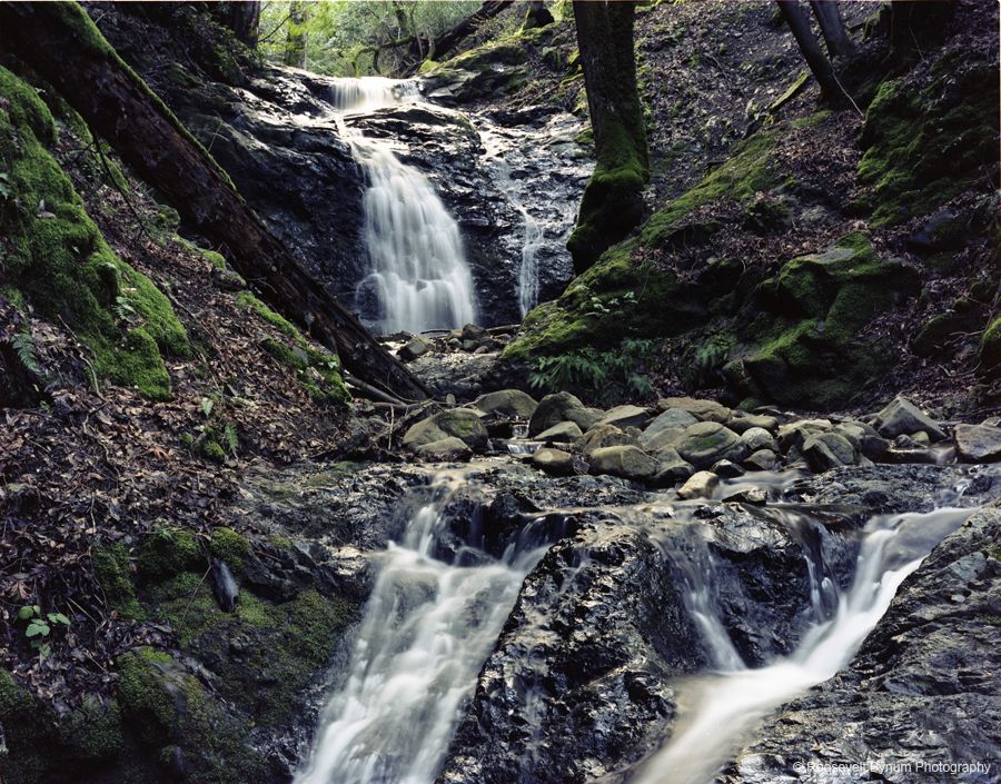 Uvas Canyon County Park Water Falls