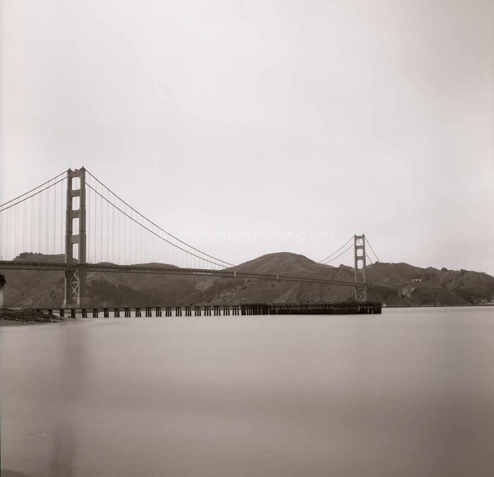 Crissy Field