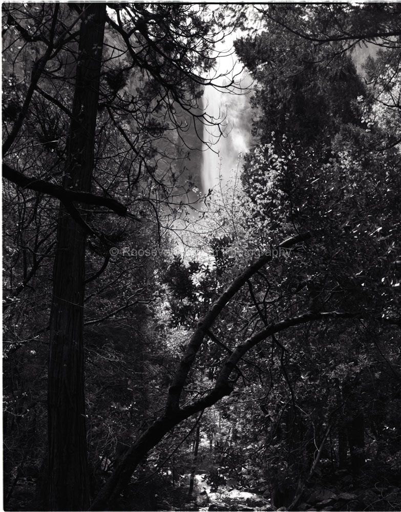 Bridalveil Falls Yosemite National Park Bridalvail Falls BW