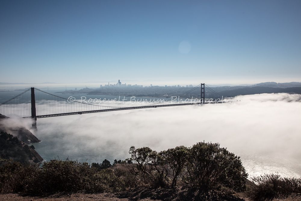 Golden Gate Bridge Above the Fog