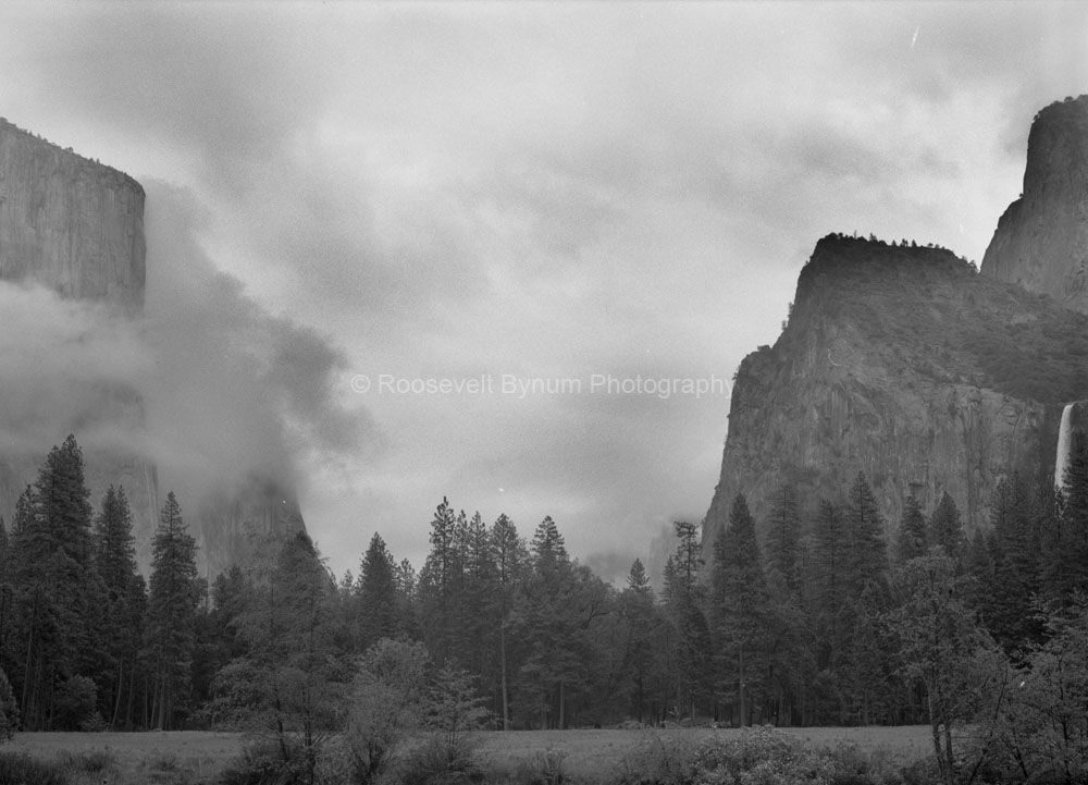 Yosemite Valley Floor Yosemite Valley #2