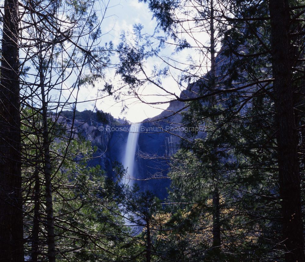 Yosemite Bridalveil Falls Yosemite National Park Yosemite Bridalveil Falls Yosemite National Park