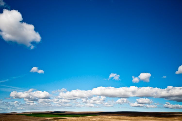 Countryside near Yakima Washington May 2008 1thoare_roadtrip_1