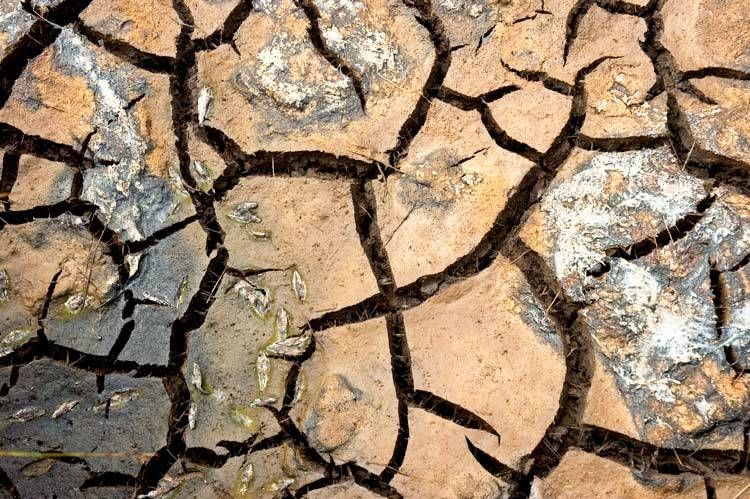 Mud flats near Cape Caution, British Columbia 1mudflats