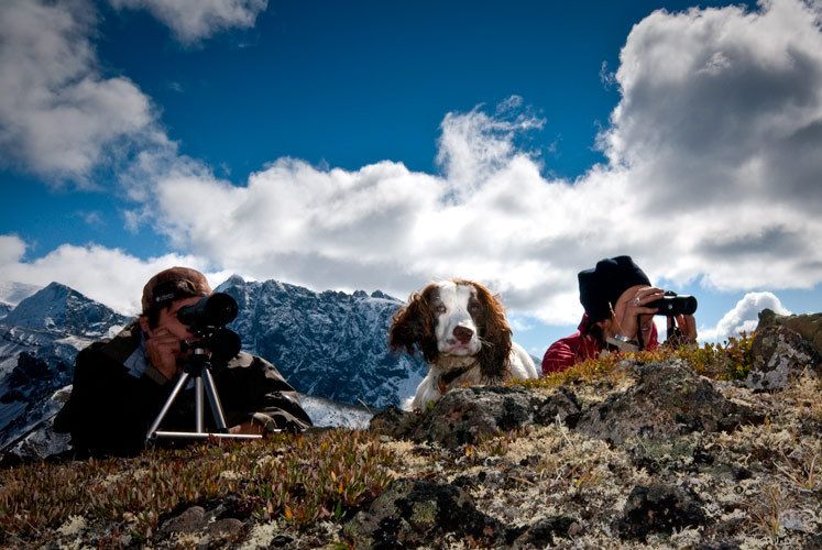 1birddog_chilcotin_bc