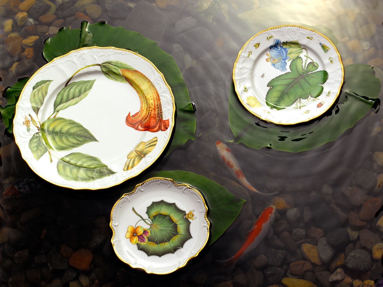 1lenox_china_lily_pad_coy_pond.jpg