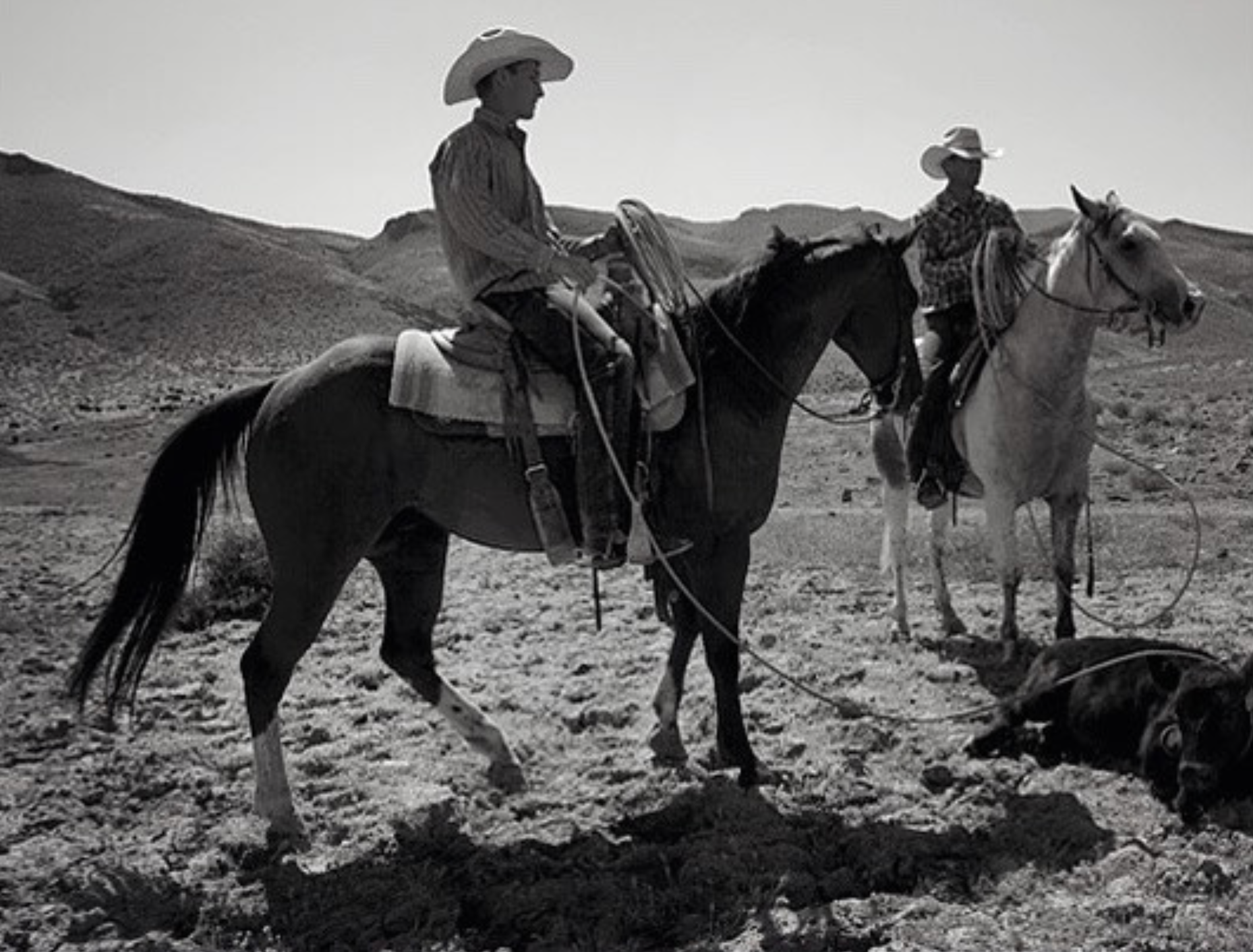 Screen Shot 2023-03-02 at 8.12.42 PM.png