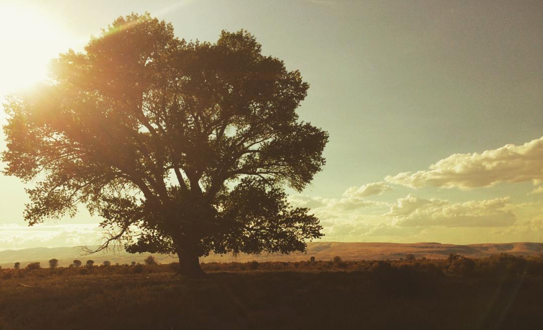 Screen Shot 2023-03-08 at 10.28.58 PM.png