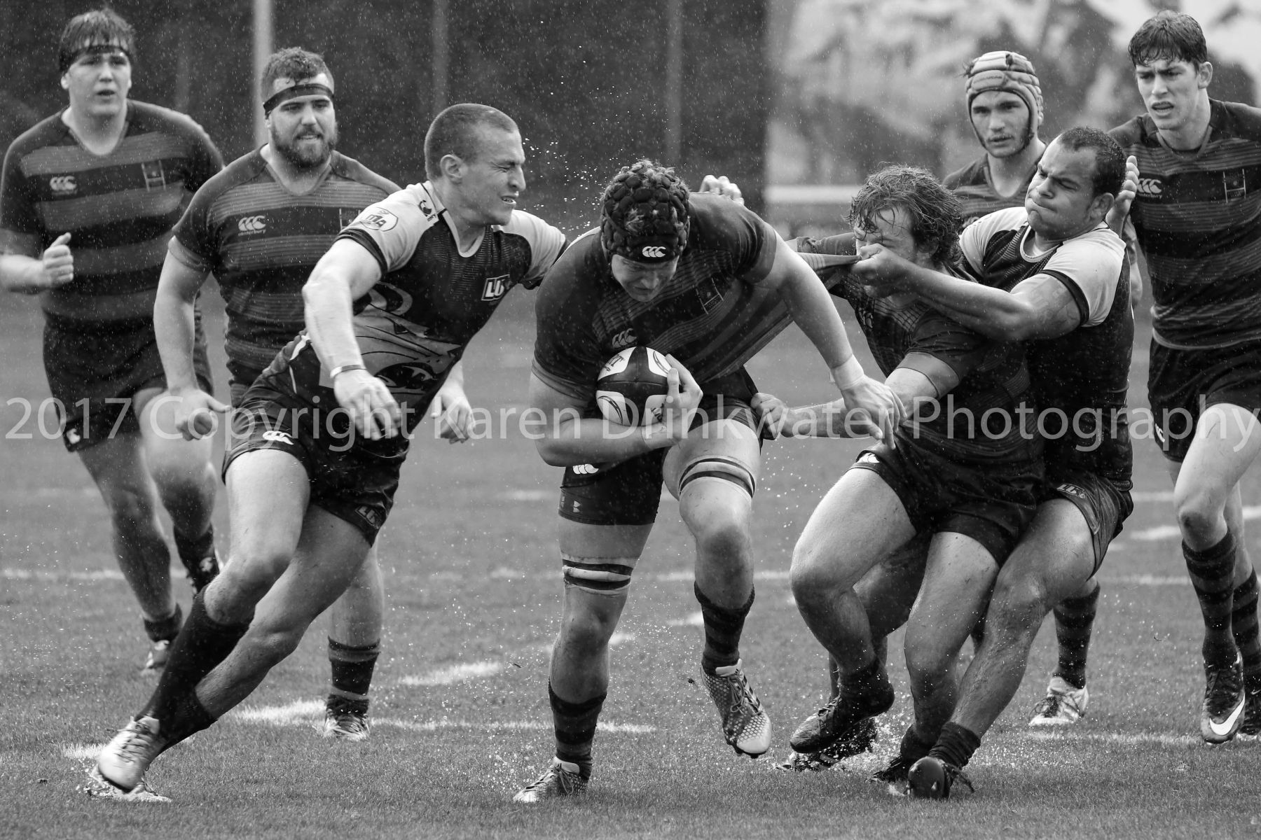 1sportsimages_karendrinkwater_19