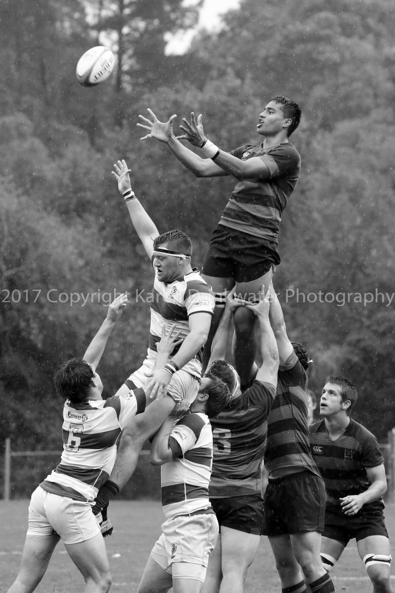 1sportsimages_karendrinkwater_26